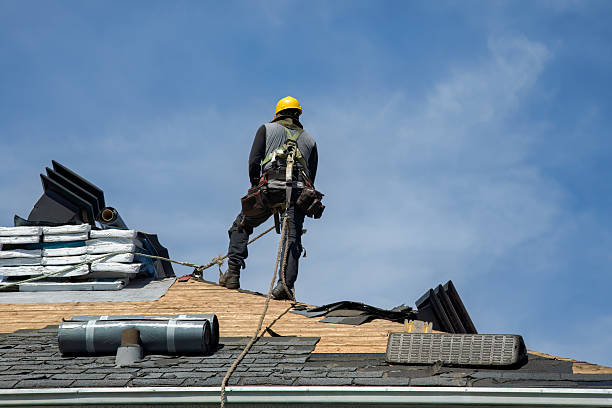 Professional Gutter Installation technician working in Pine Island, MN